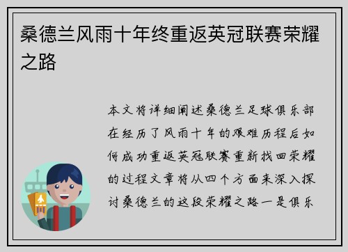 桑德兰风雨十年终重返英冠联赛荣耀之路